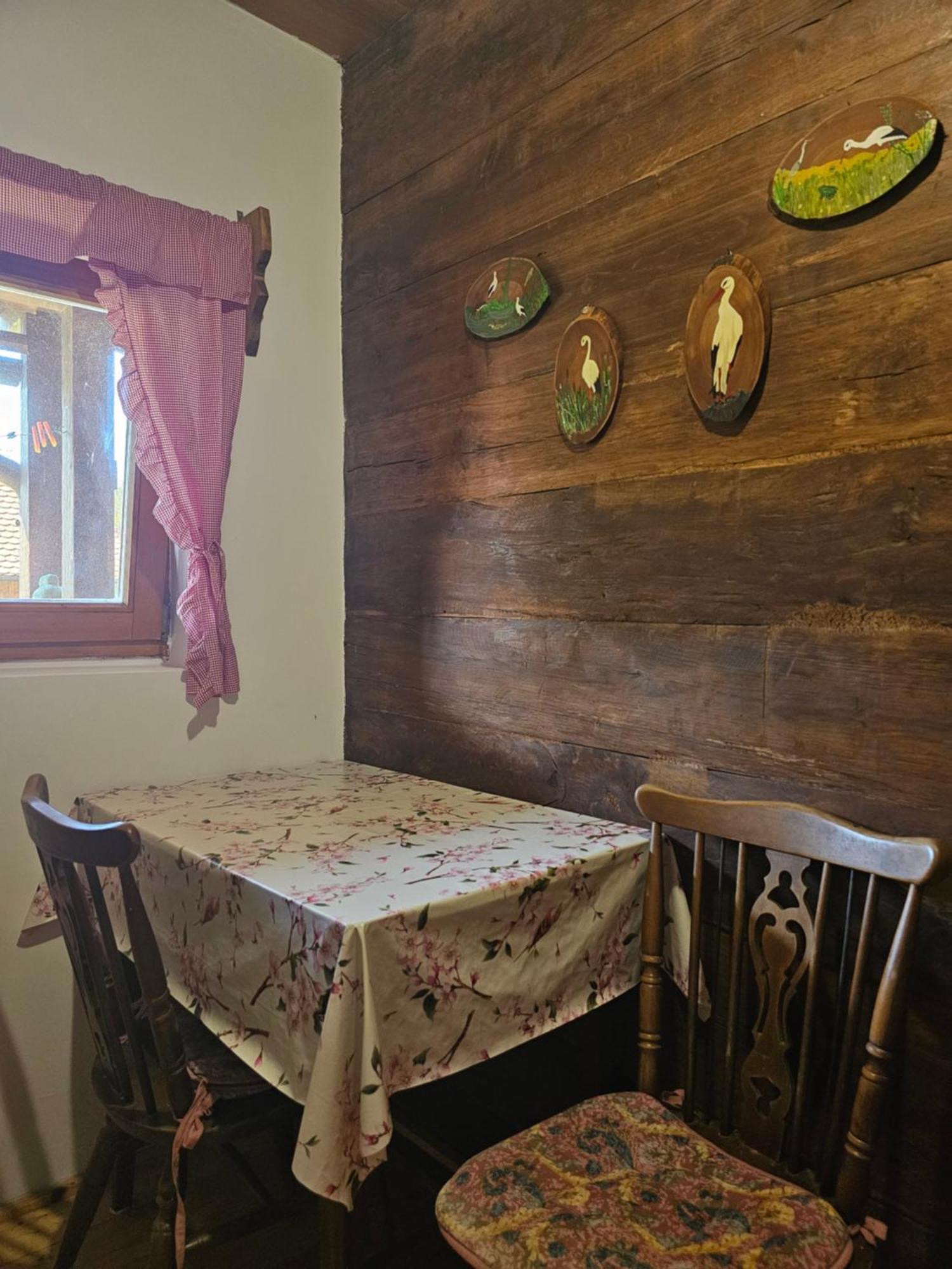 Apartments Kuvarna Čigoč エクステリア 写真