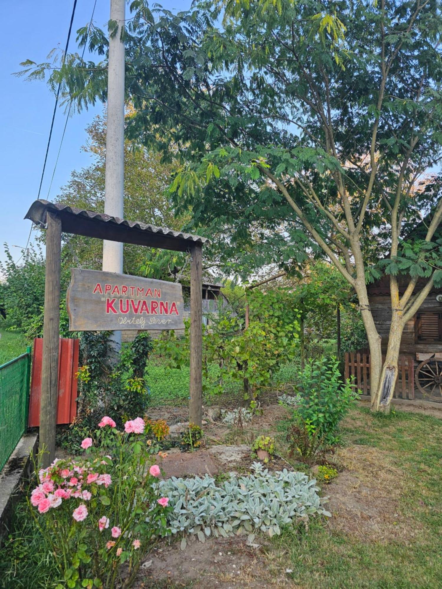 Apartments Kuvarna Čigoč エクステリア 写真